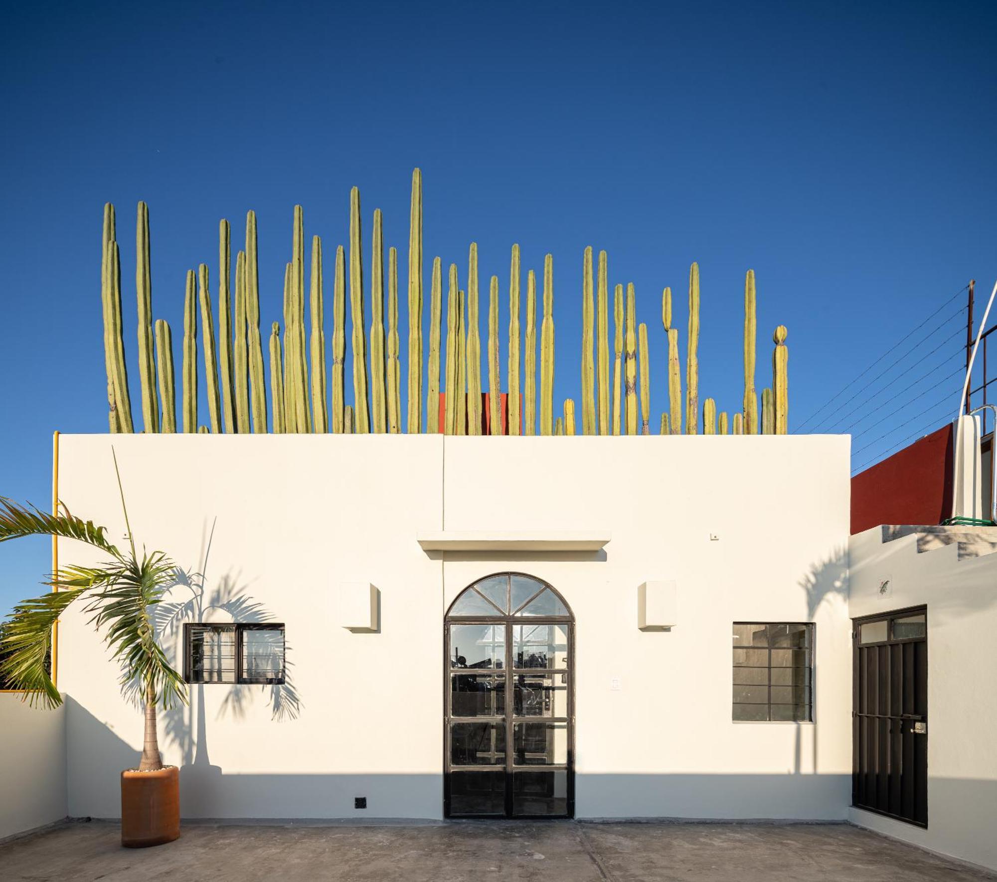 Casa Lumos - Minimalist Comfort Suites In Centro Historico 오아하카주 외부 사진