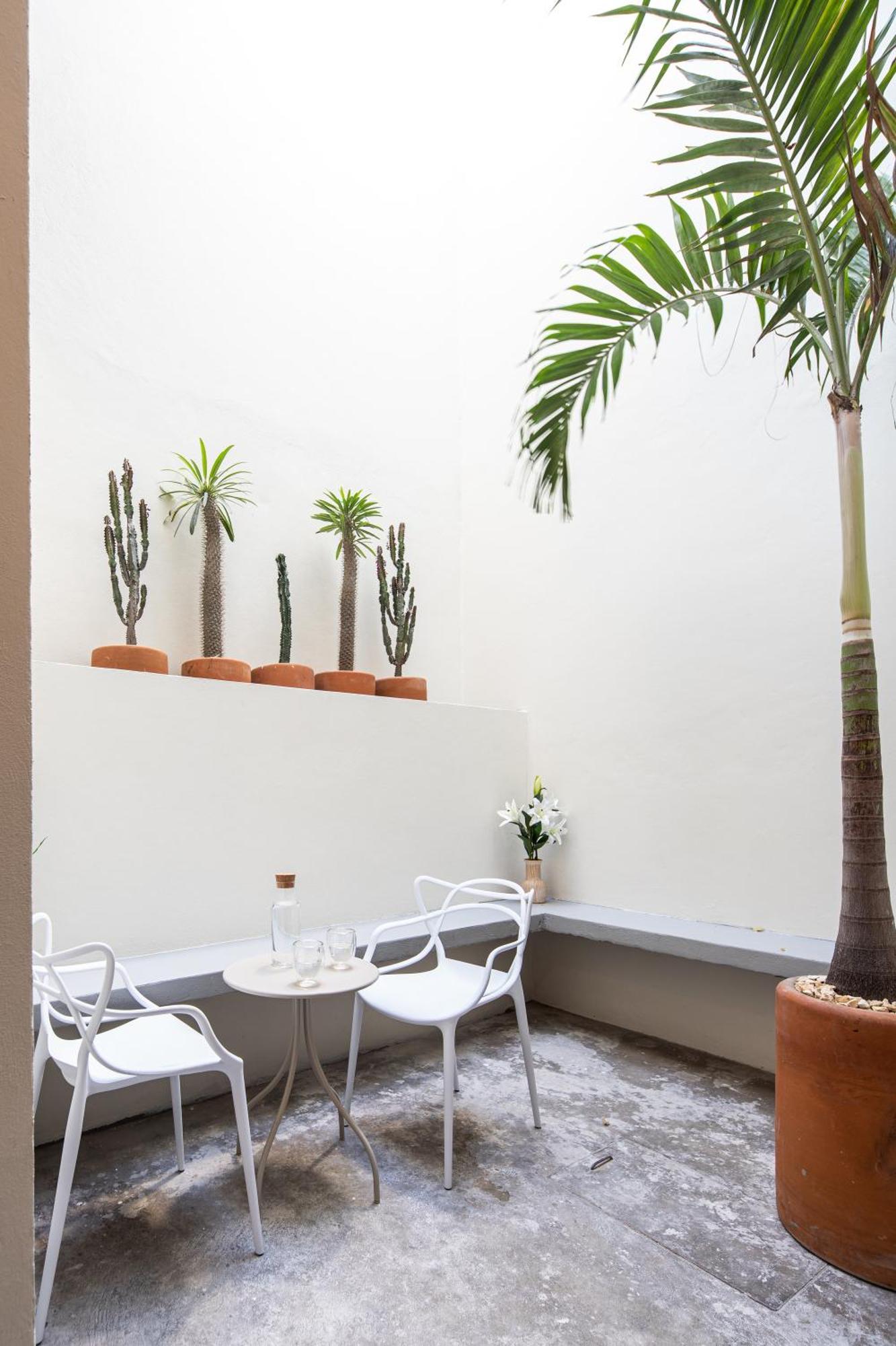 Casa Lumos - Minimalist Comfort Suites In Centro Historico 오아하카주 외부 사진
